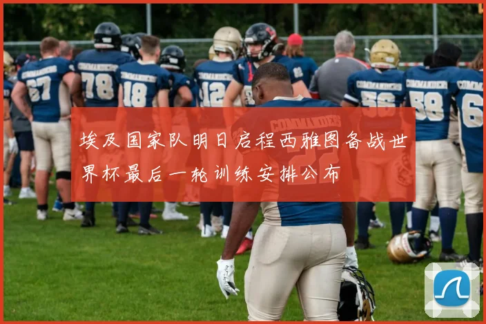 埃及国家队明日启程西雅图备战世界杯最后一轮训练安排公布