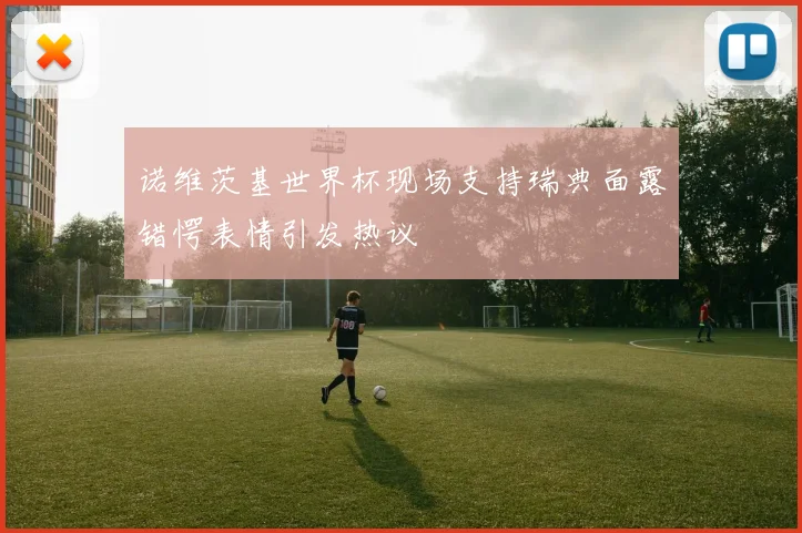 诺维茨基世界杯现场支持瑞典面露错愕表情引发热议