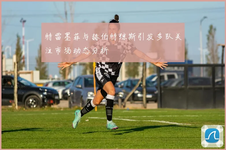 特雷墨菲与赫伯特琼斯引发多队关注市场动态分析